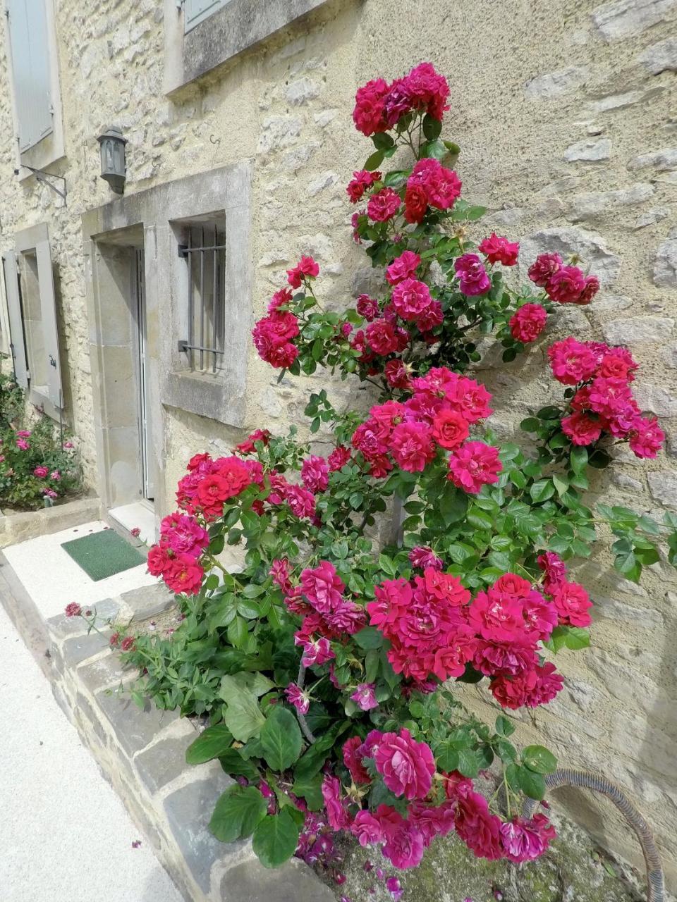 Les Gites Du Chateau St Jacques D'Albas Laure-Minervois Exterior photo